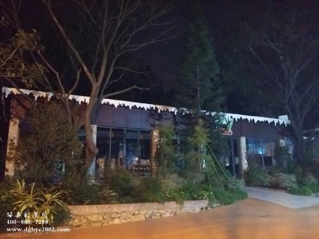 東莞燈光圖片/東莞燈光樣板圖 (4)