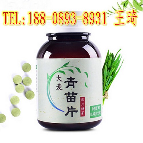 番茄片圖片/番茄片樣板圖 (4)