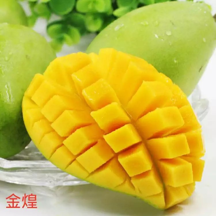 小青芒圖片/小青芒樣板圖 (2)