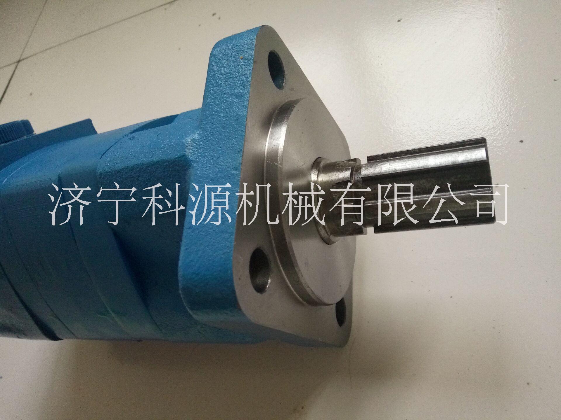 BM5液壓馬達(dá)圖片/BM5液壓馬達(dá)樣板圖 (3)