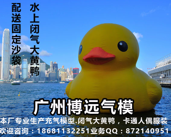 大黃鴨圖片/大黃鴨樣板圖 (3)