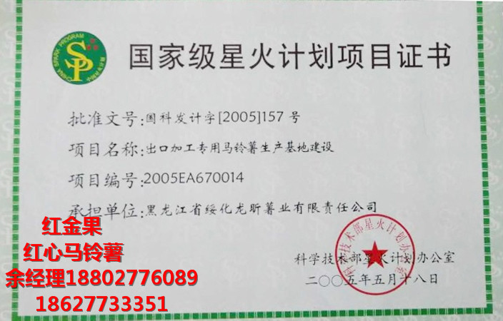 紅心馬鈴薯種植基地 余經(jīng)理圖片