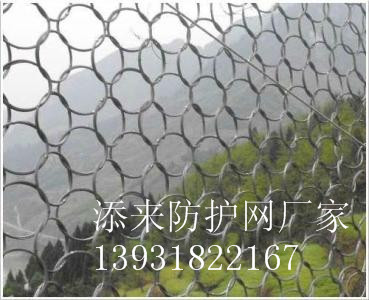邊坡防護(hù)網(wǎng) @被動(dòng)防護(hù)網(wǎng) @山體安全網(wǎng)@ 山體落石防護(hù)網(wǎng)廠家