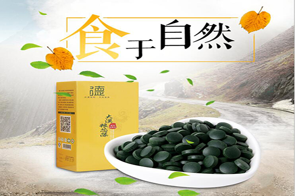 大漠金糧藻圖片/大漠金糧藻樣板圖 (2)
