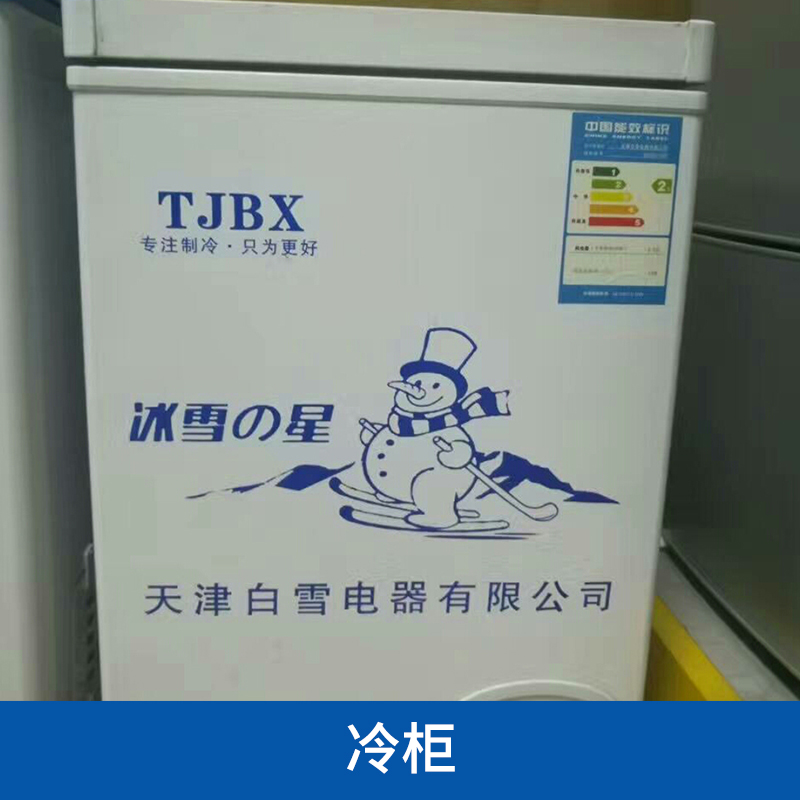 冷柜圖片/冷柜樣板圖 (2)