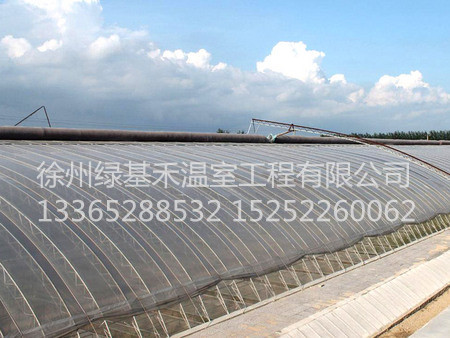 溫室大棚廠家溫室大棚安裝蔬菜大棚日光溫室連棟溫室