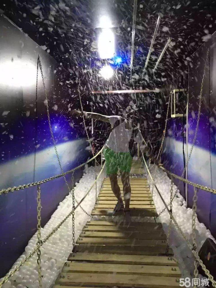 vr雪山吊橋9DVR設(shè)備圖片