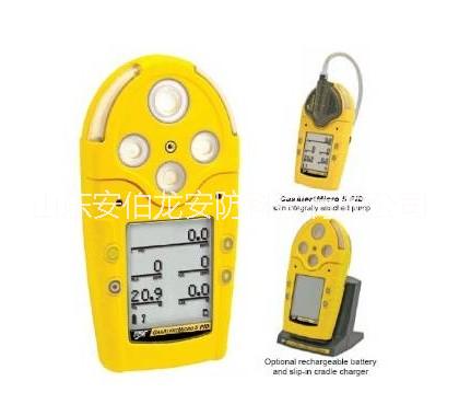 多種氣體檢測儀圖片/多種氣體檢測儀樣板圖 (1)