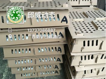螺鴨苗圖片/螺鴨苗樣板圖 (2)