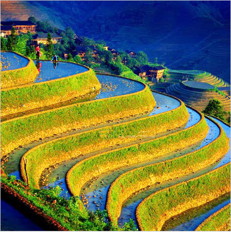 桂林旅游圖片/桂林旅游樣板圖 (3)