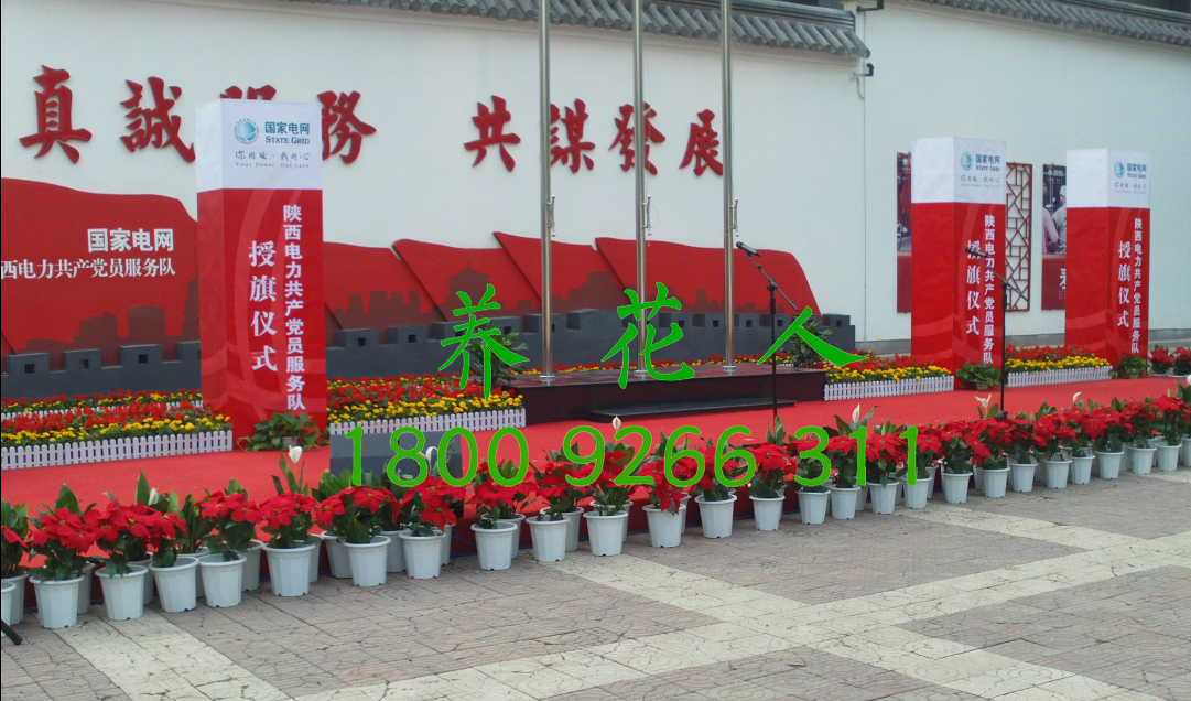 西安臨時租擺圖片/西安臨時租擺樣板圖 (2)