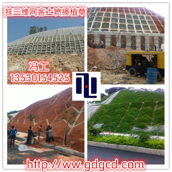 錨桿施工隊(duì)圖片