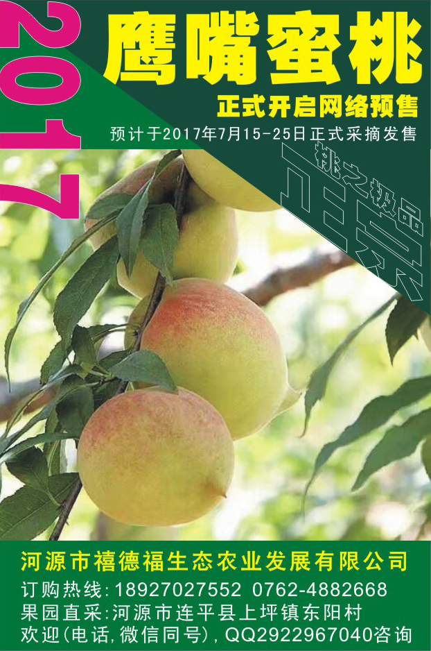 鷹嘴蜜桃圖片