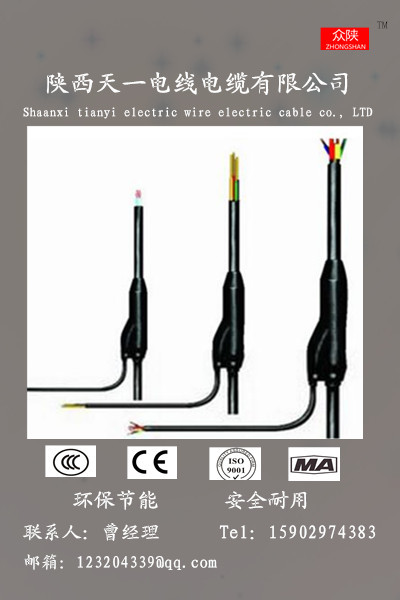 預(yù)分支電纜圖片/預(yù)分支電纜樣板圖 (3)