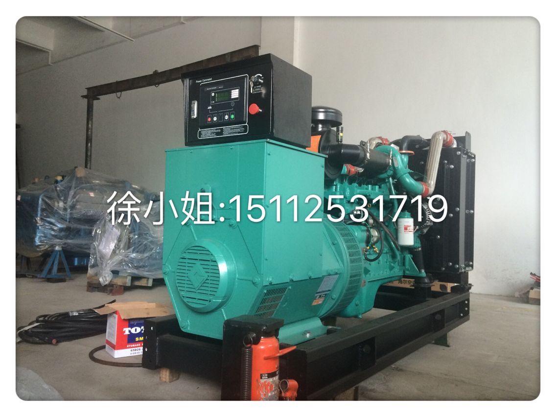重慶康明斯柴油發(fā)電機(jī)圖片/重慶康明斯柴油發(fā)電機(jī)樣板圖 (2)