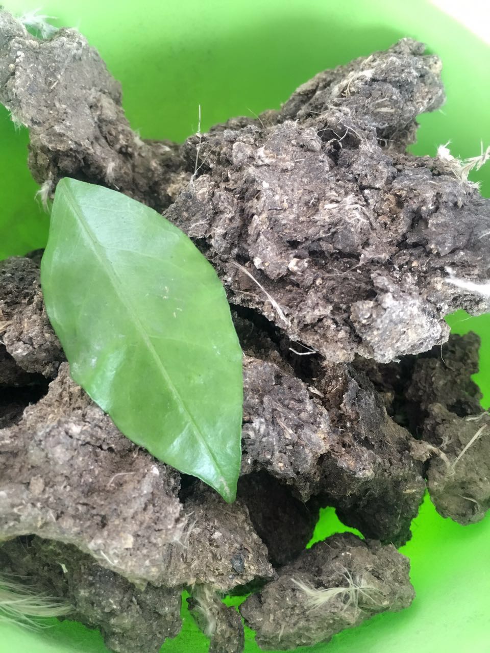 廠家低價批發(fā)農(nóng)家肥發(fā)酵雞糞有機肥圖片