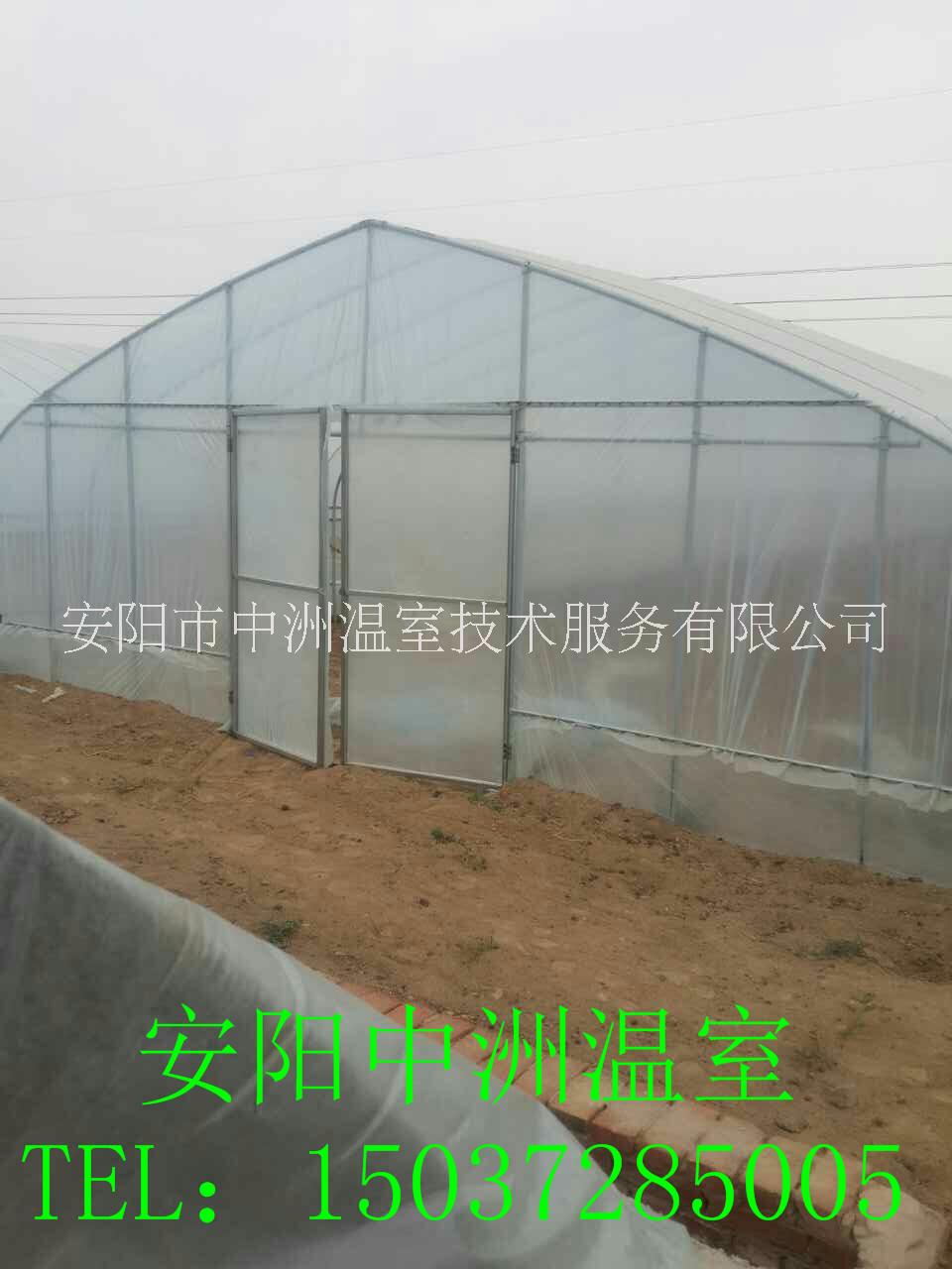 圓管拱棚安陽(yáng)中洲圖片/圓管拱棚安陽(yáng)中洲樣板圖 (3)