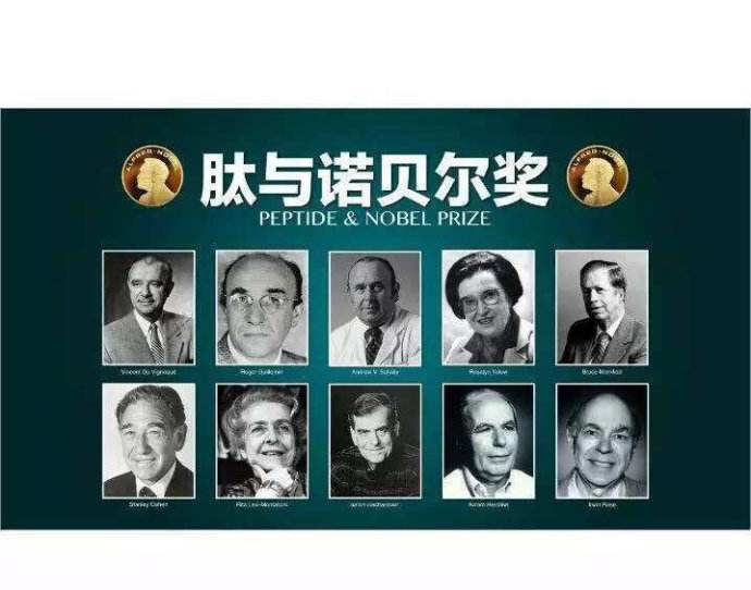 小分子肽圖片/小分子肽樣板圖 (4)