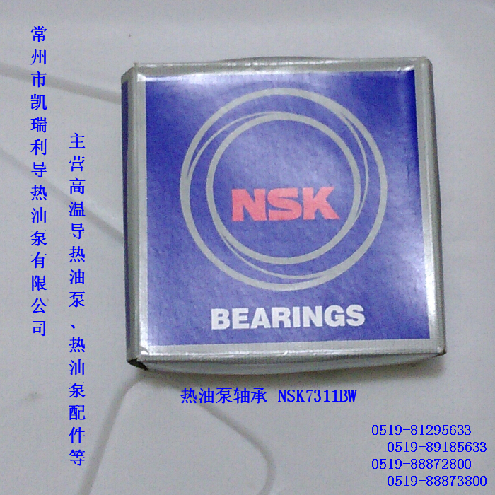 常州高溫導(dǎo)熱油泵配用NSK軸承圖片