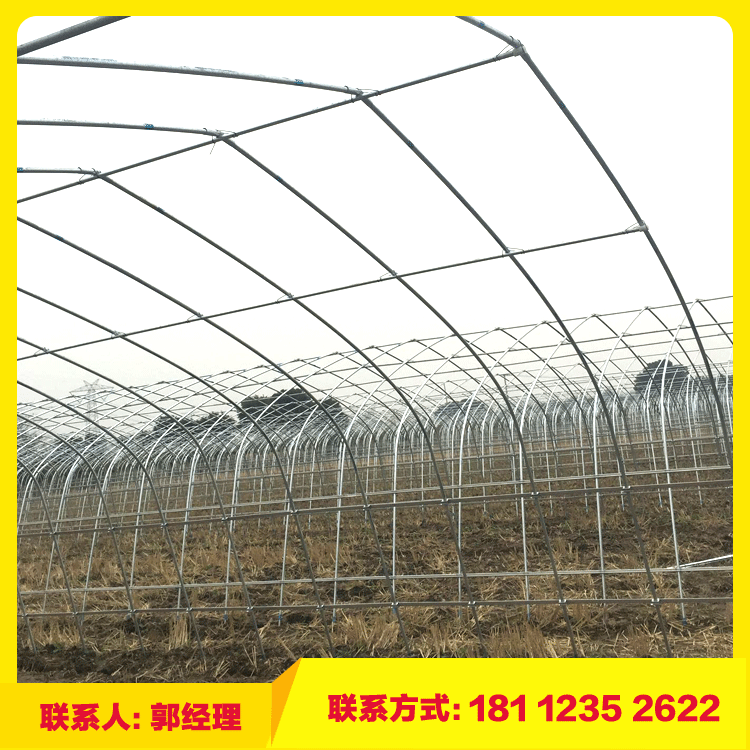 重慶溫室大棚圖片/重慶溫室大棚樣板圖 (4)