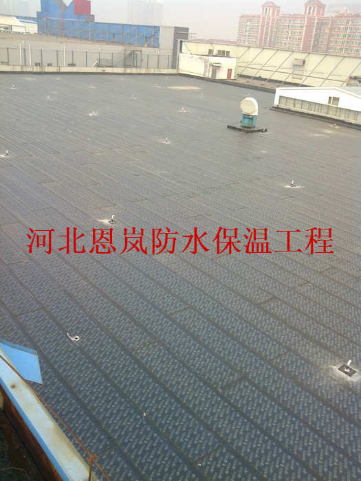 屋頂補(bǔ)漏圖片/屋頂補(bǔ)漏樣板圖 (2)