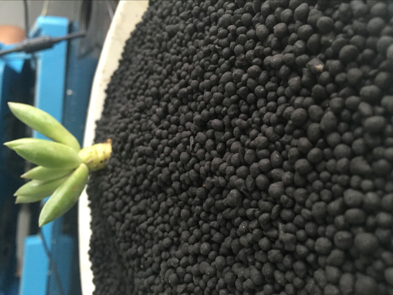 發(fā)酵雞糞肥圖片/發(fā)酵雞糞肥樣板圖 (2)