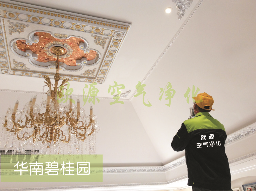 荔灣區(qū)圖片/荔灣區(qū)樣板圖 (4)