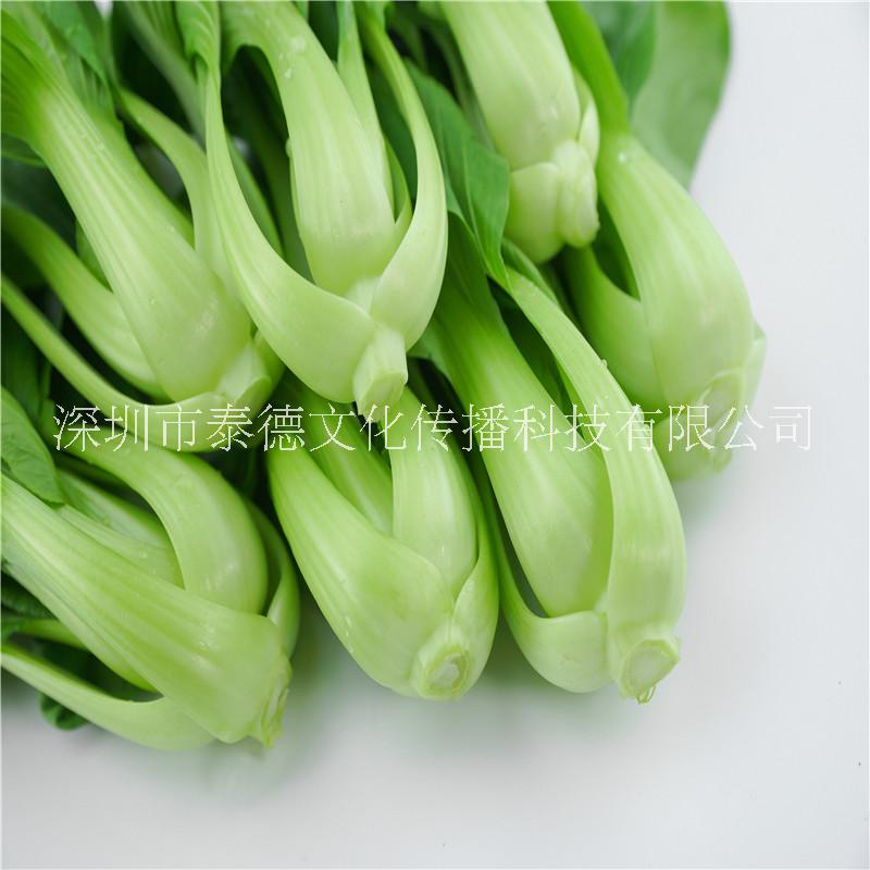菜園圖片/菜園樣板圖 (4)