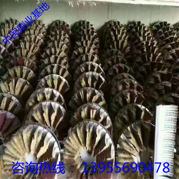 磨毛刷圖片/磨毛刷樣板圖 (4)