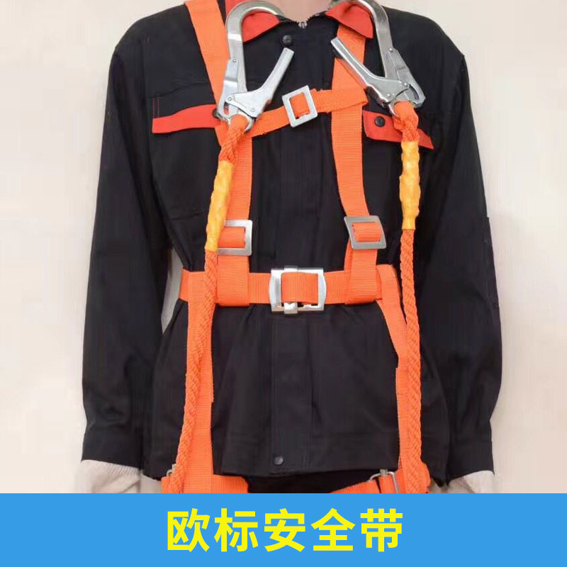 歐標(biāo)安全帶圖片/歐標(biāo)安全帶樣板圖 (4)