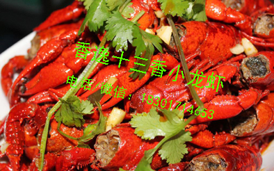 小龍蝦圖片/小龍蝦樣板圖 (3)