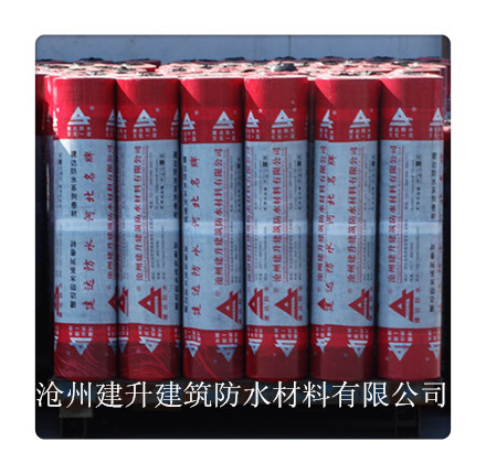 建達(dá)自粘防水卷材圖片/建達(dá)自粘防水卷材樣板圖 (2)