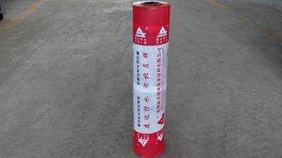 SBS防水卷材圖片/SBS防水卷材樣板圖 (2)