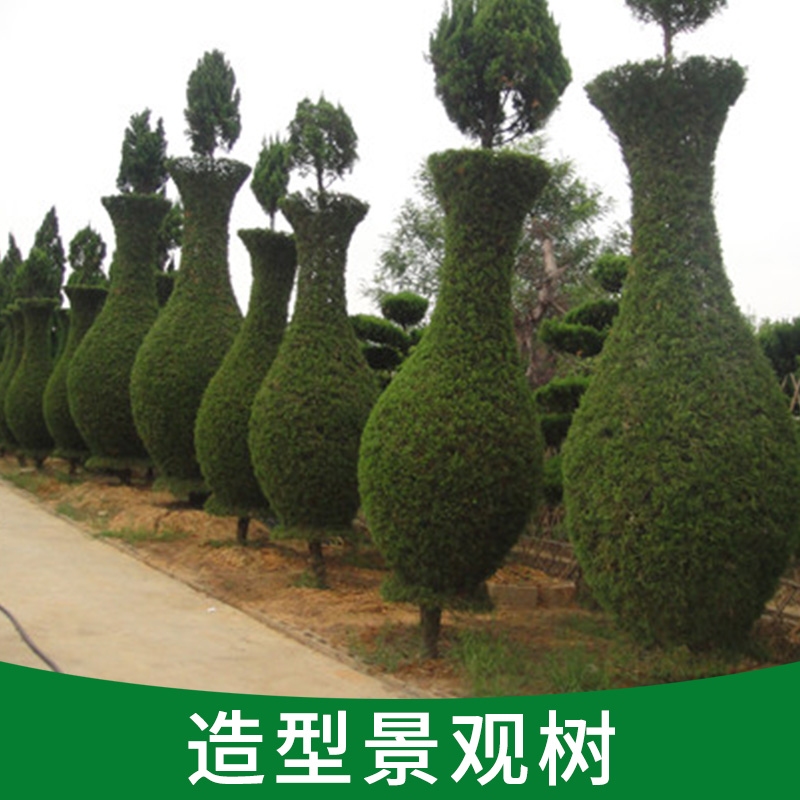 造型景觀圖片/造型景觀樣板圖 (1)