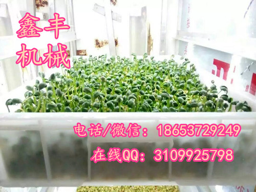豆芽機圖片/豆芽機樣板圖 (1)