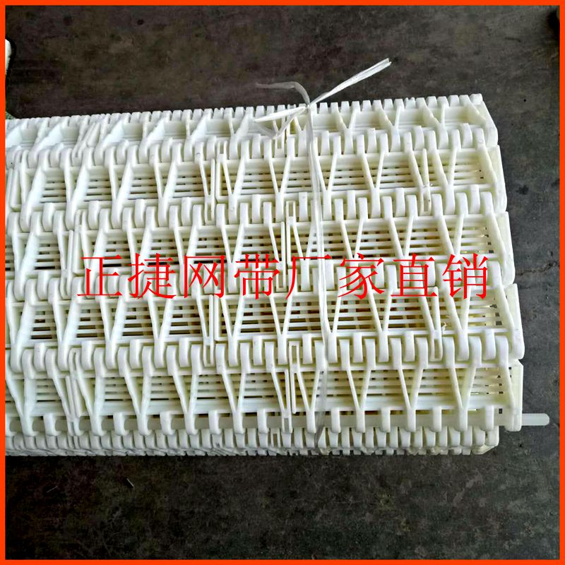 尼龍網(wǎng)帶圖片