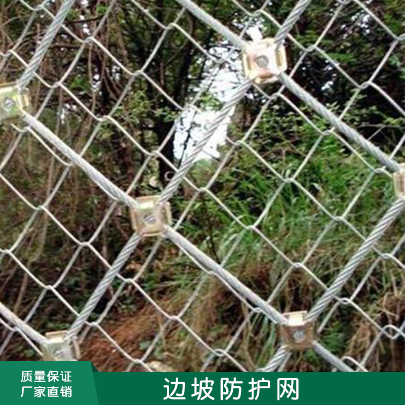 邊坡防護網(wǎng)圖片/邊坡防護網(wǎng)樣板圖 (2)