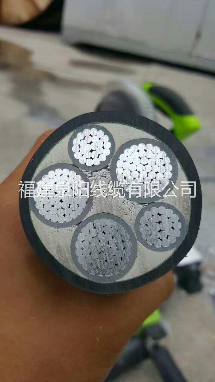 泉州鋁芯電纜，福州電纜廠家，廈門電纜廠家，三明電纜，南平電纜廠家，泉州電纜廠家，龍巖電纜，寧德電纜，莆田電纜廠家