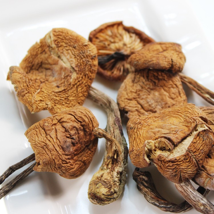 食用菌山珍禮盒圖片/食用菌山珍禮盒樣板圖 (2)