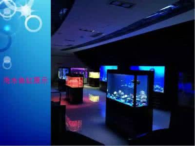 海洋展出租，陽(yáng)義展覽（全國(guó)出租）圖片/海洋展出租，陽(yáng)義展覽（全國(guó)出租）樣板圖 (2)