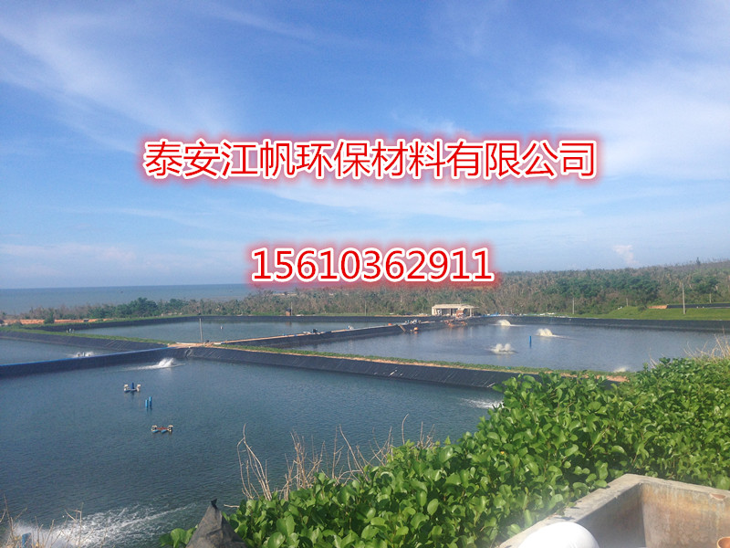 魚(yú)塘養(yǎng)殖土工膜圖片/魚(yú)塘養(yǎng)殖土工膜樣板圖 (4)