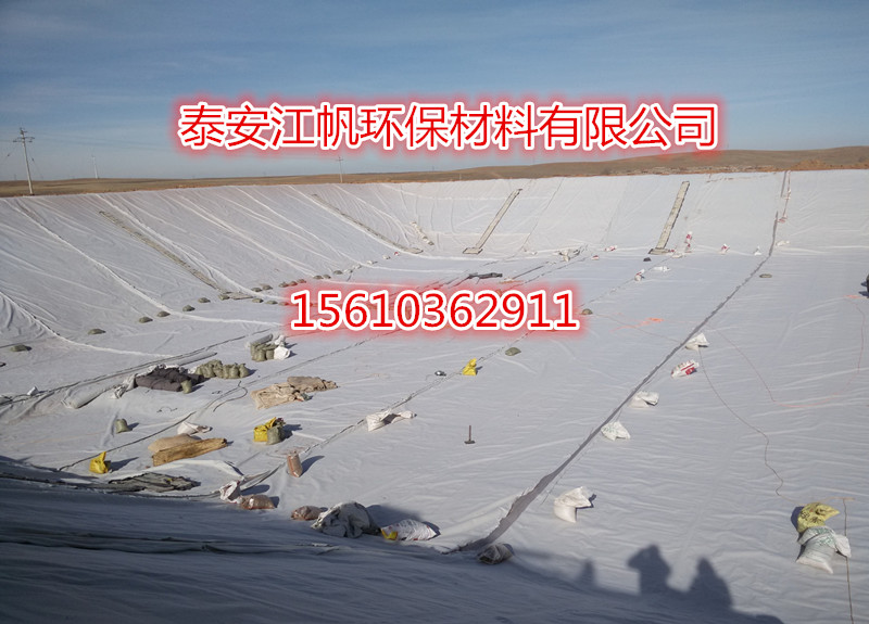 hdpe防滲土工膜圖片/hdpe防滲土工膜樣板圖 (2)