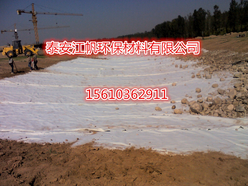 廣東復(fù)合膜兩布一膜生產(chǎn)廠家圖片/廣東復(fù)合膜兩布一膜生產(chǎn)廠家樣板圖 (1)