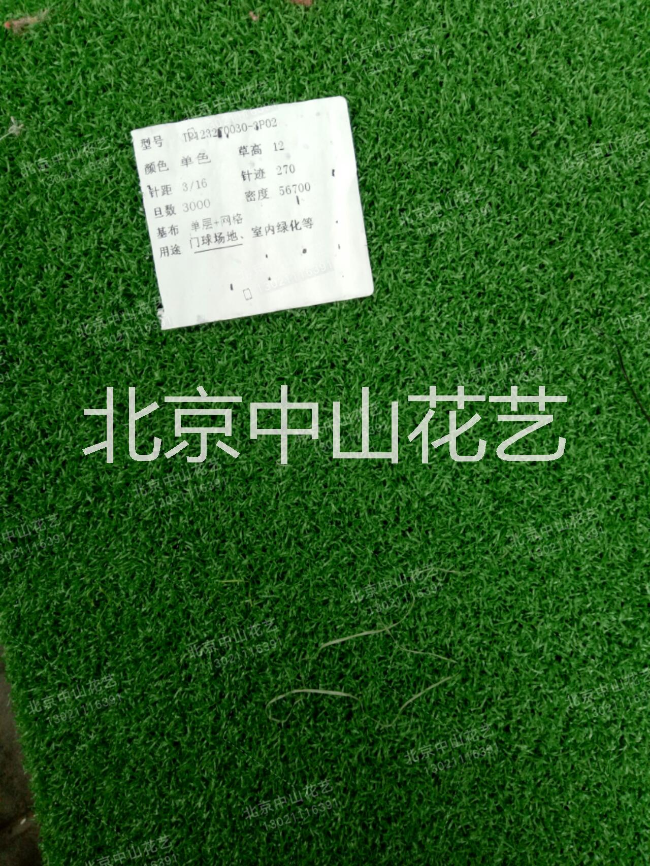 仿真草坪圖片/仿真草坪樣板圖 (1)