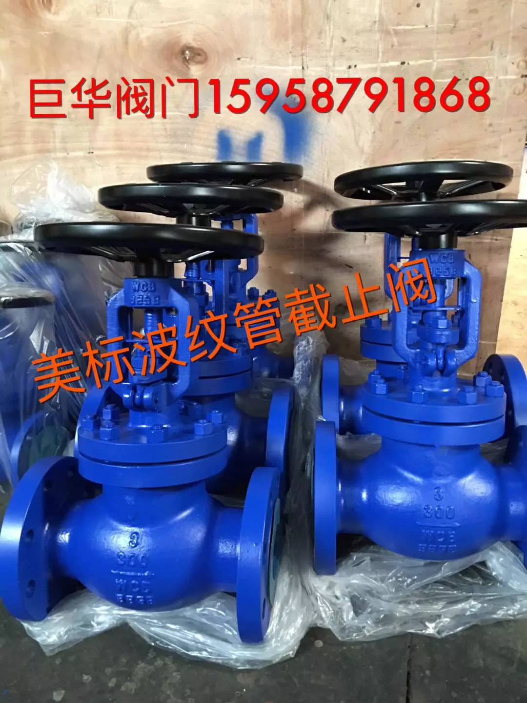 美標波紋管截止閥圖片/美標波紋管截止閥樣板圖 (2)