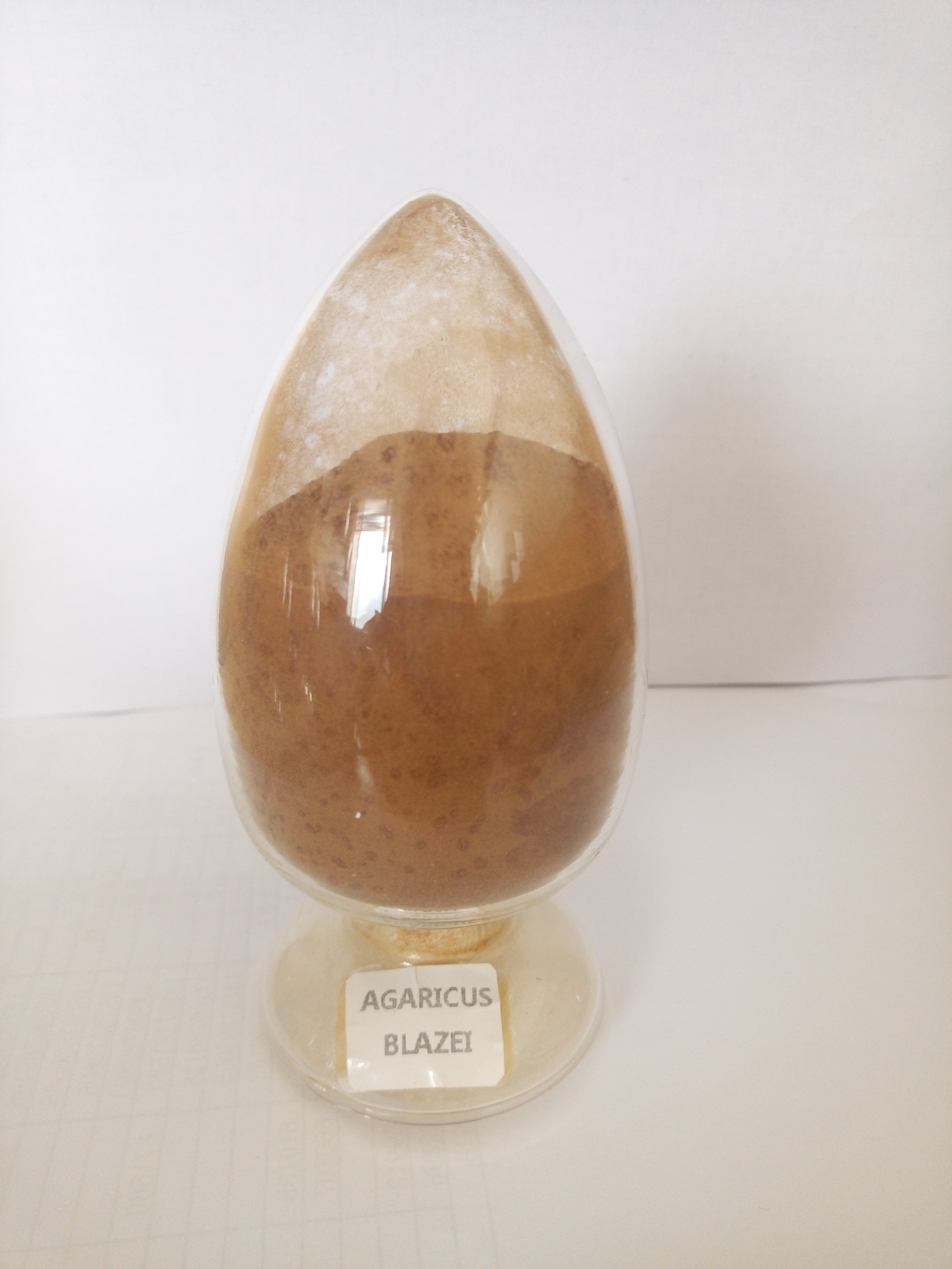 方格*姬松茸提取物