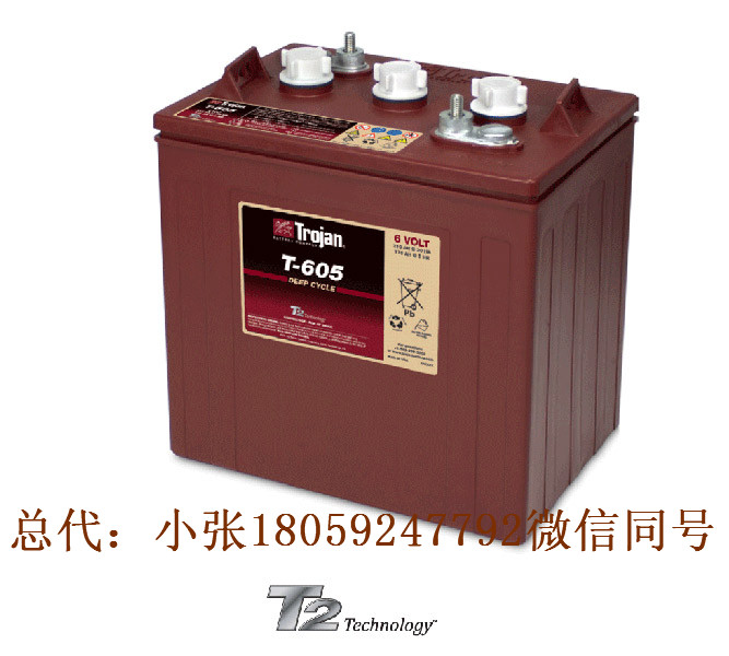 美國邱健T-605電池圖片/美國邱健T-605電池樣板圖 (1)