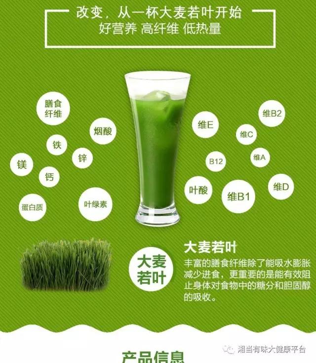 大麥若葉圖片/大麥若葉樣板圖 (3)