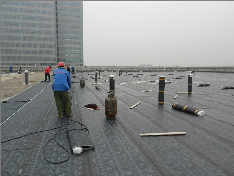 東莞防水補漏 專業(yè)防水補漏