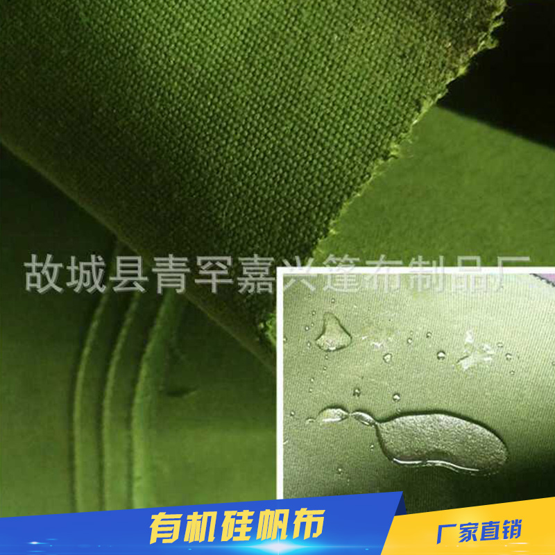 有機(jī)硅帆布圖片/有機(jī)硅帆布樣板圖 (1)